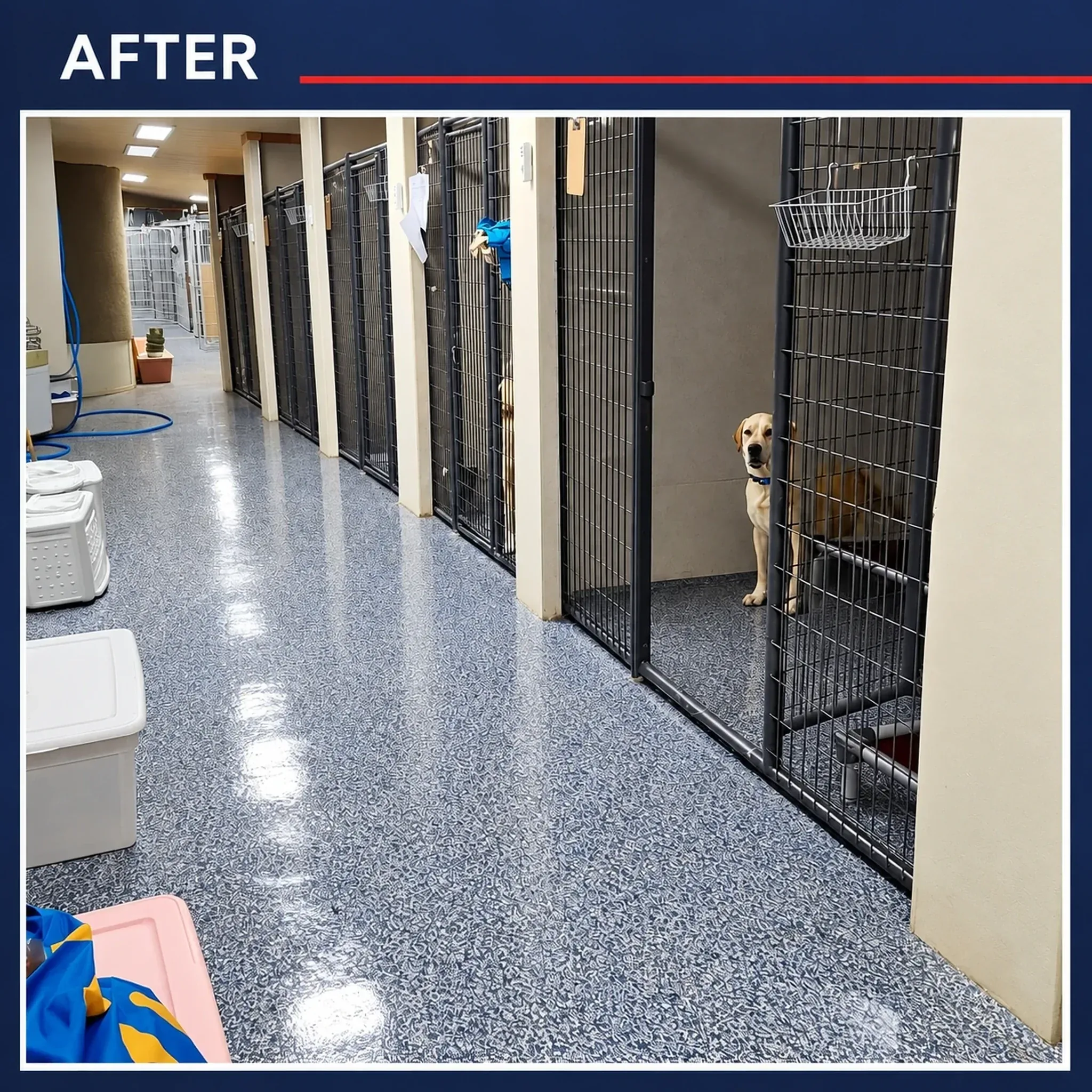Boarding Corridor After Cleaning at Pinnacle K9.