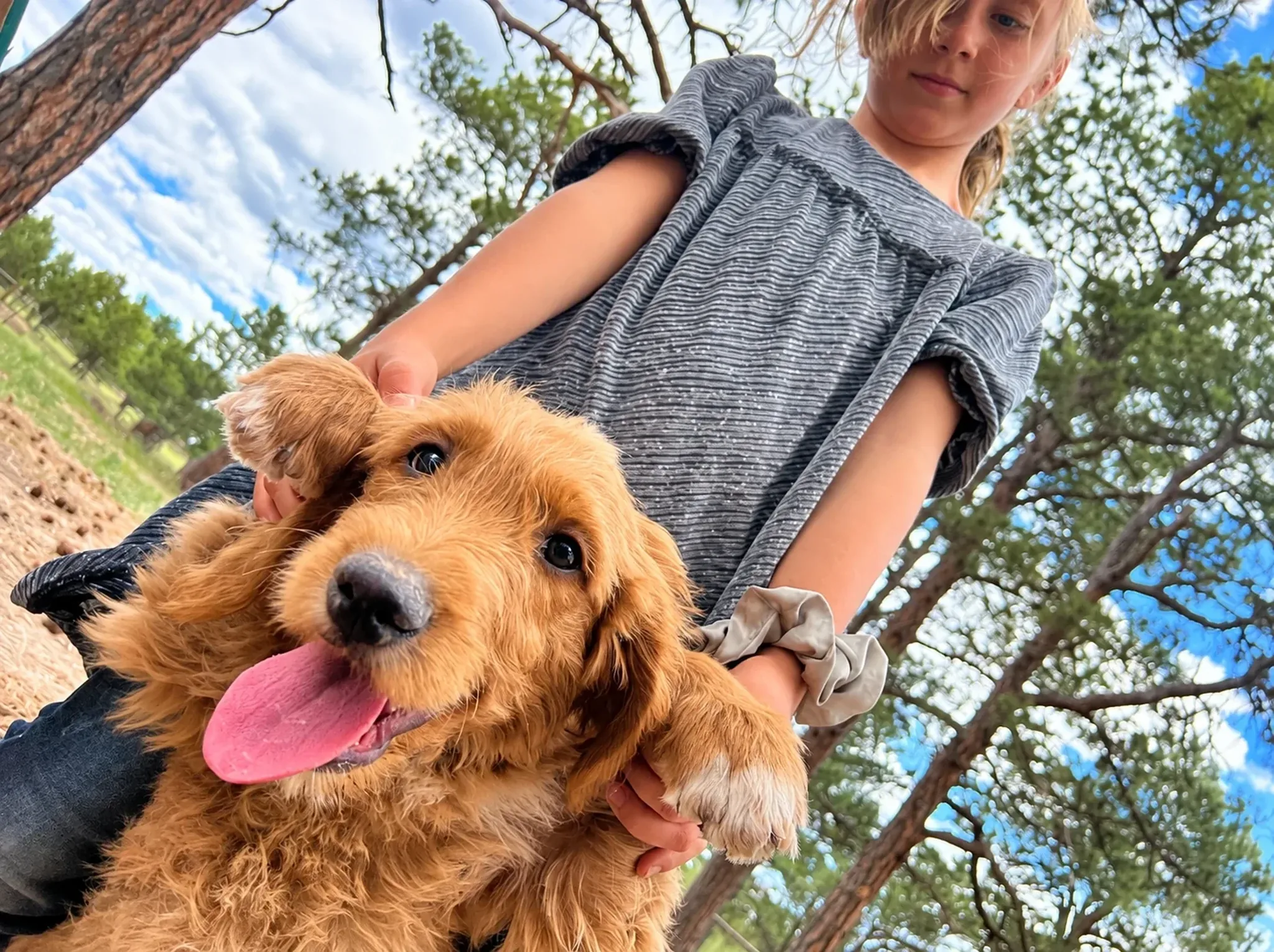Puppy With Handler at Pinnacle K9.