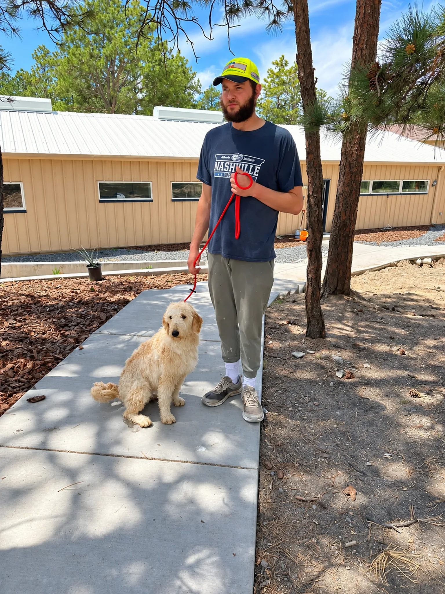 Trainer standing with dogs in the shaded outdoor training area.