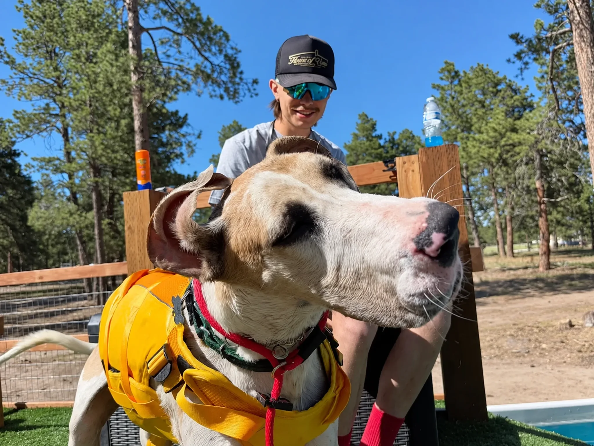 Trainer Walk Forest at Pinnacle K9.