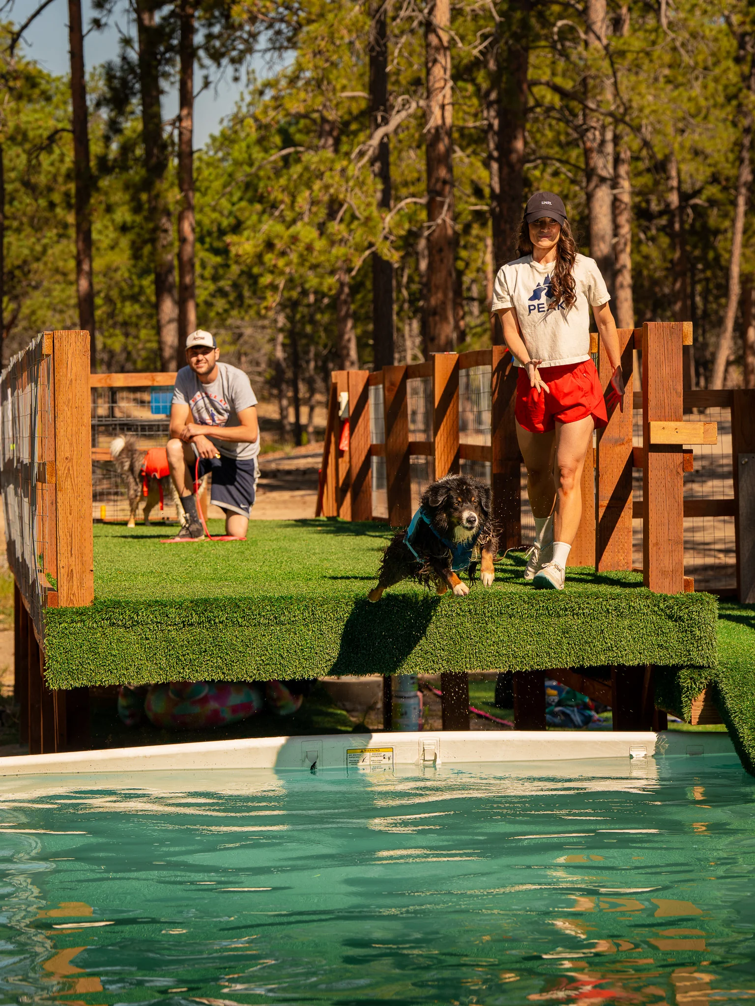 Black-and-tan dog in a blue life jacket approaching the pool with a handler.